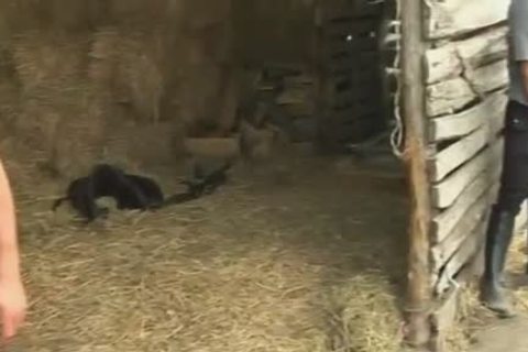 Ride Em rough - Scene 4 - Pacific Sun Entertainment