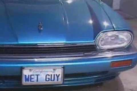 Tom Katt acquires pounded By Max