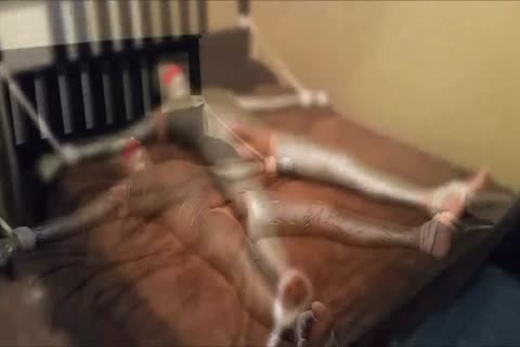 he Escaped After Four Hours All The more Reason To Give It one more Go!