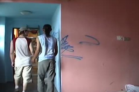 Two young homosexual fellows Jerk Each Other Off