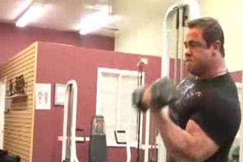 Muscle Gym