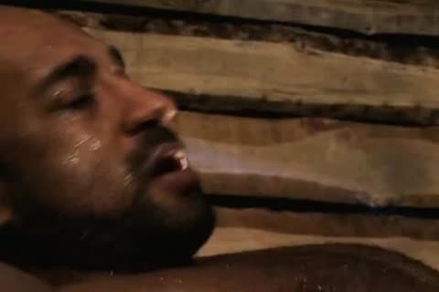 Just In Time For Christmas.
A lusty make water Cumpilation