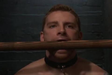 bound Gods