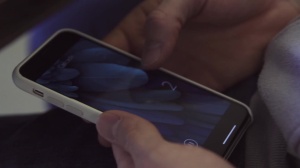 butt Controller - butt Sex