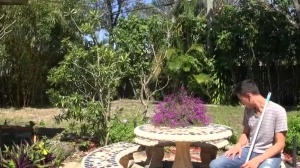 Doing Drake - amateur plow