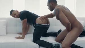 NoirMale.com: Muscled Zario Travezz agrees to nailed rough