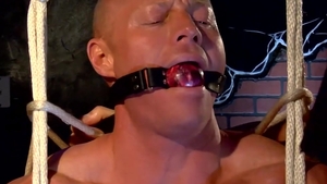 BoundMuscleJocks.com: Beau and Tyler among Saint