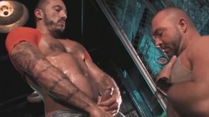 Fucking hard in the company of bear