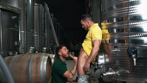 Men: Paddy's Wild Night with Tour Guide Manuel