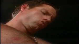 Falcon Icons: The 1990's: A Captive's Pleasure in Pain